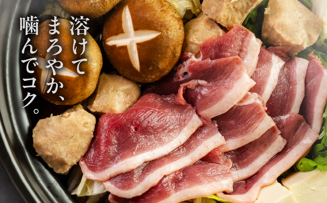 農業王国・愛知県豊橋の合鴨『あいち鴨肉 堪能鍋セット』