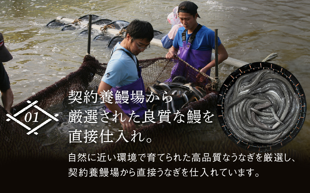 超絶うなぎ蒲焼 大2尾 定期便 12回