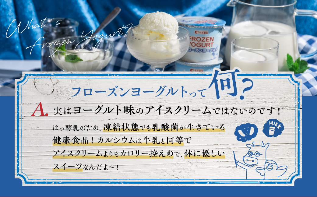 中央製乳 フローズンヨーグルト 12個