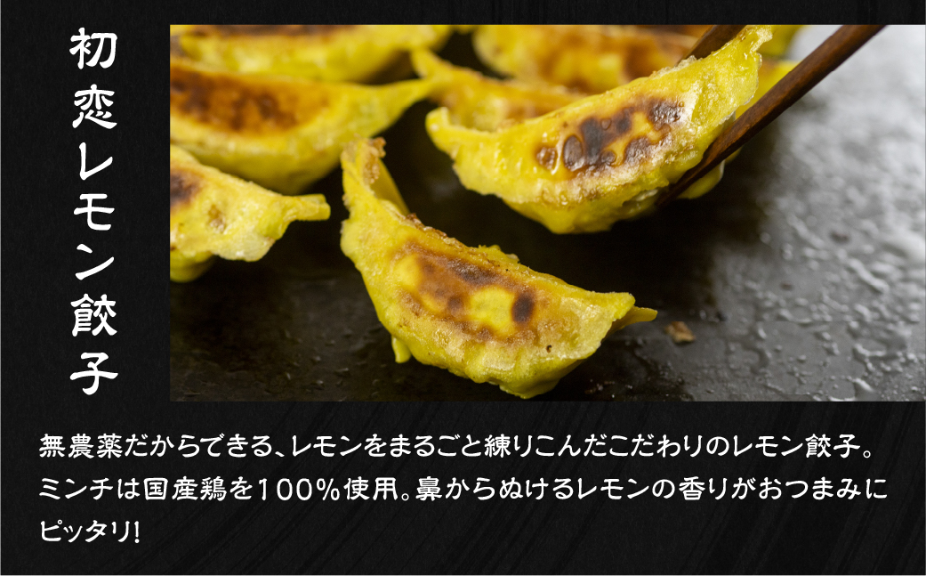 計100個！ 国産餃子 4種食べ比べセット