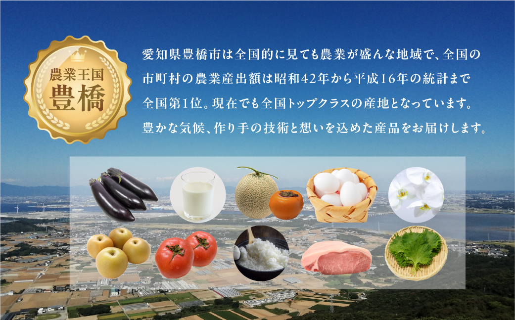 【先行予約】糖度8度！"美"トマト 1kg