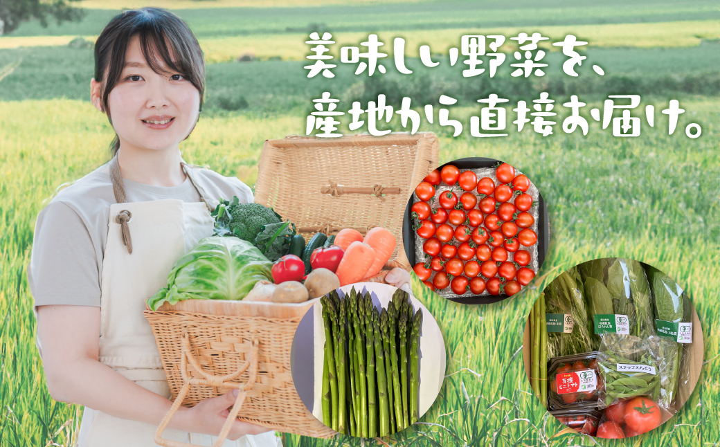 【先行予約】功農野菜8種類セット 8種 野菜 セット 有機栽培 ミニトマト アスパラ トマト ほうれん草 水菜 春菊 ネギ 小松菜 高糖度 新鮮 産地直送 季節の野菜 詰め合わせ やさい 自然 安心安全 旬 送料無料 愛知県 豊橋市