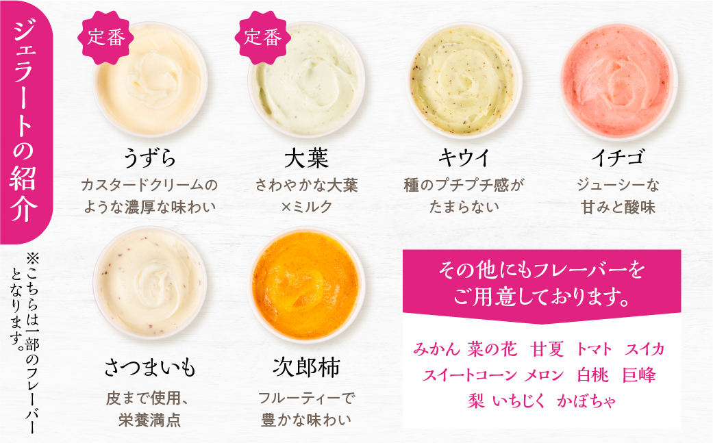 豊橋の恵みが詰まった新鮮＆ヘルシーなジェラート 12個入