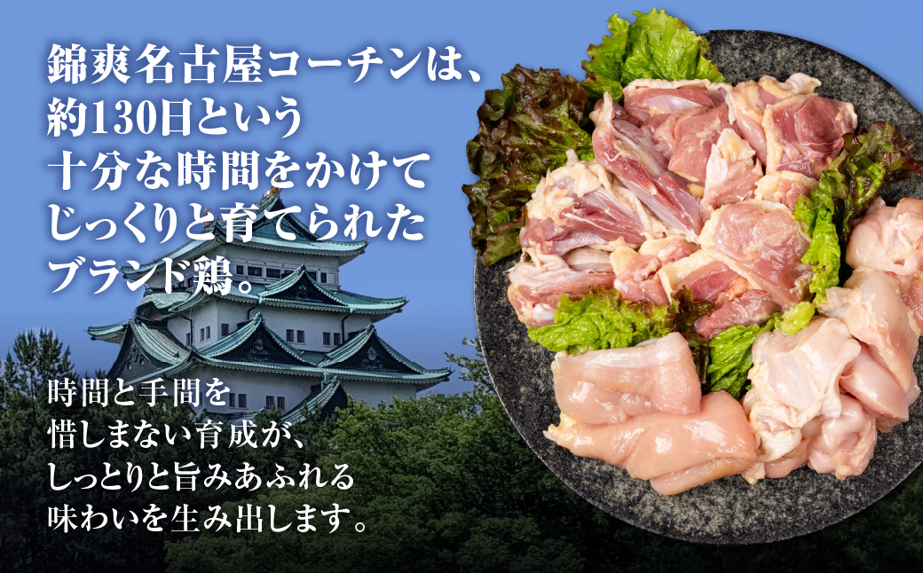 名古屋コーチン餃子 36個 (12個入×3パック) 冷凍餃子 こだわり餃子 おススメ 美味しい 餃子 ぎょうざ ギョウザ ギョーザ 惣菜 冷凍 名古屋コーチン 地鶏 ブランド地鶏 冷凍食品 セット 国産 国産素材 詰め合わせ 愛知県 豊橋市