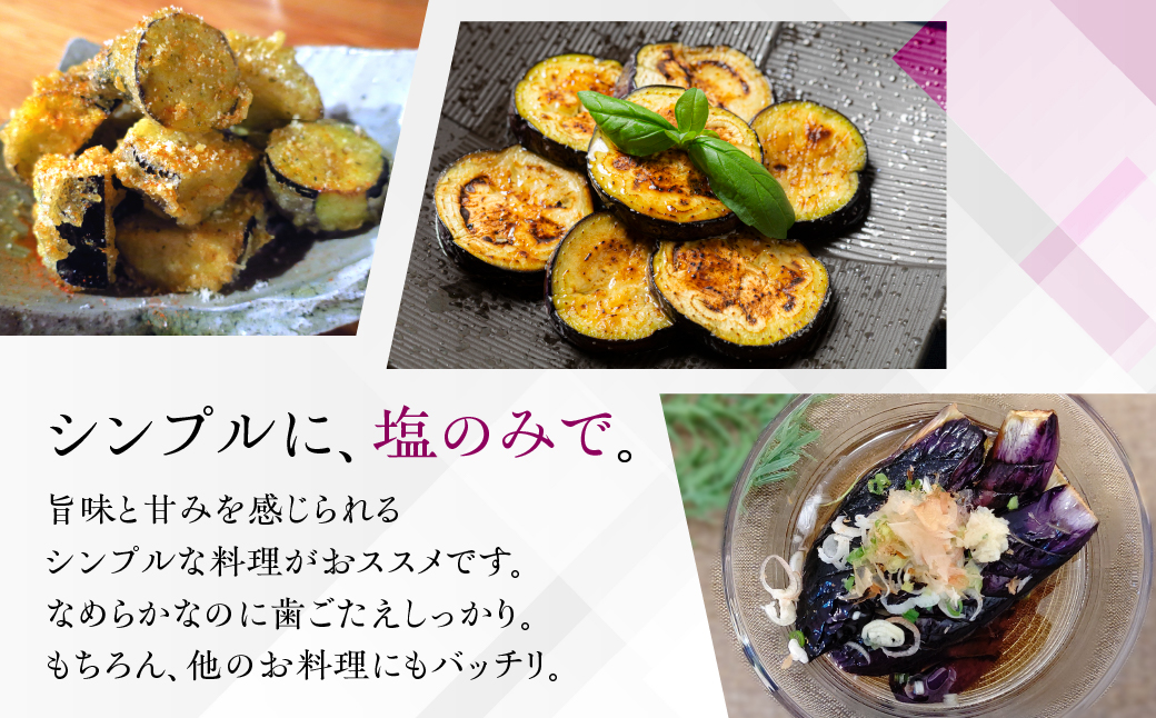 ≪先行予約≫とげなし茄子10本 ナス 茄子 なす なすび 野菜 旬 旬の野菜 糖度 石田茄子 トゲなし　とげなし お取り寄せ 健康 夕飯 おかず 愛知県 豊橋市