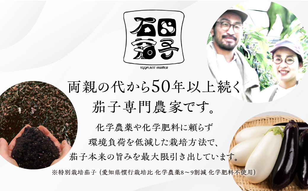 ≪先行予約≫白茄子 6本 ナス 茄子 なす なすび 白なす しろなす 白ナス 白茄子 野菜 旬 旬の野菜 糖度 石田茄子 お取り寄せ 健康 夕飯 おかず 愛知県 豊橋市