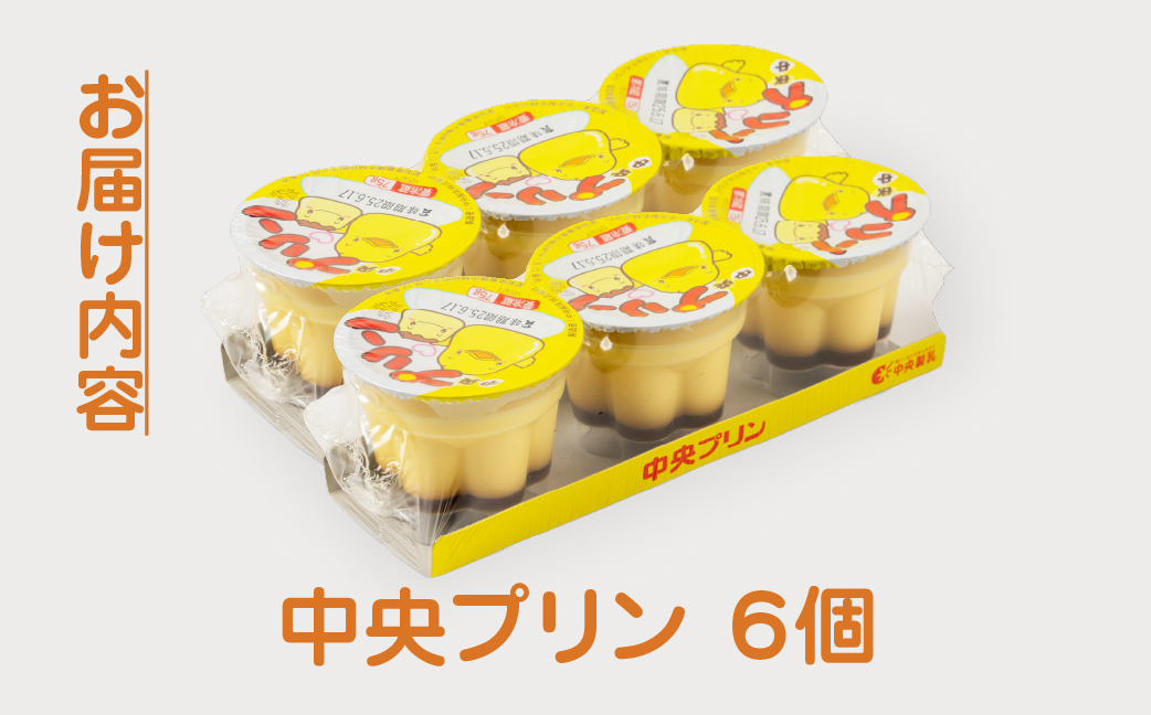 中央製乳 中央プリン3p 6個 セット こだわり なめらか おやつ デザート 定番 甘い たまご カラメルソース 厳選素材 愛知県 豊橋市