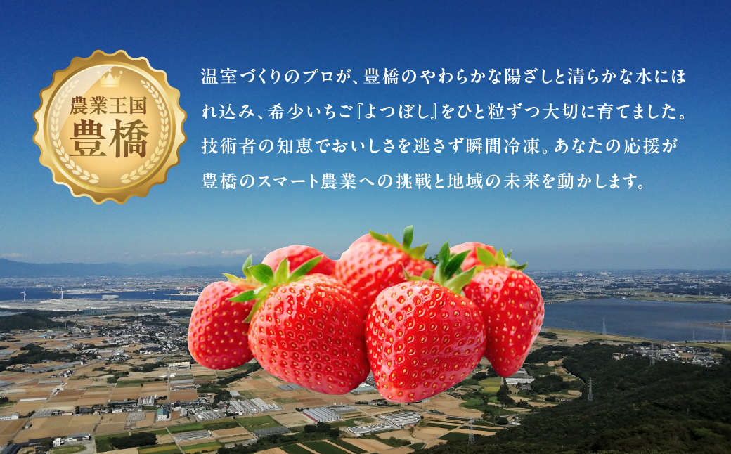 【ふるさと納税】＜先行予約＞いちご よつぼし 苺 1kg 新鮮 国産