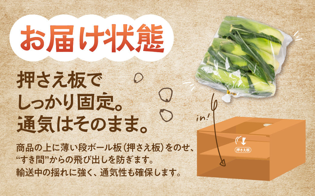≪先行予約≫ 令和8年産（2026年収穫）訳あり とうもろこし 30本 直売所で大人気 愛知県 豊橋市 夏野菜 野菜 ミネラルたっぷり 海風そだち 潮風 BBQ 家族で フードロス わけあり 規格外 大容量 豊橋 ともちゃんのやさい