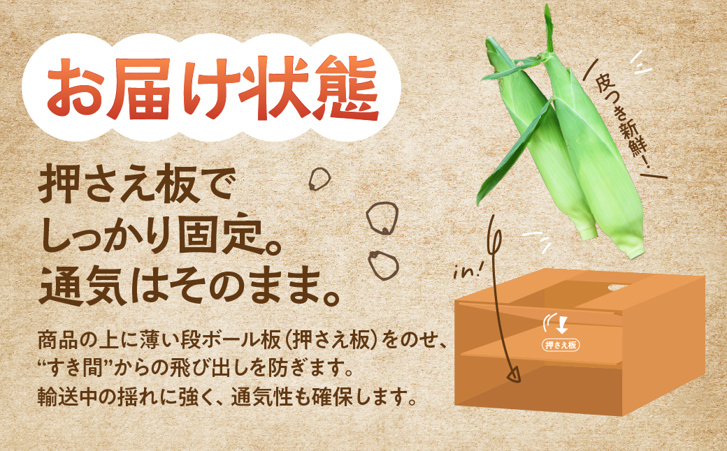 ≪先行予約≫ 令和8年産（2026年収穫）黄色とうもろこし 14本 直売所で大人気！ 愛知県 豊橋市 夏野菜 野菜 ミネラルたっぷり 海風そだち 潮風 BBQ 家族で 大容量 豊橋 ともちゃんのやさい