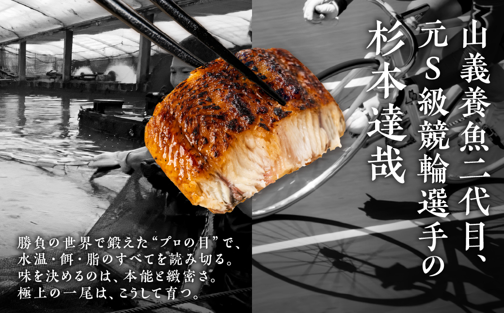 山義養魚の『うなぎ晴々』 7尾 希少  豊橋うなぎ 蒲焼 厳選 国産 新仔うなぎ 若うなぎ 鰻 簡易包装 ウナギ うなぎ 鰻 蒲焼 ギフト ひつまぶし 土用丑の日 ギフト 冷凍  丑の日 簡単調理 豊橋うなぎ お取り寄せ 送料無料