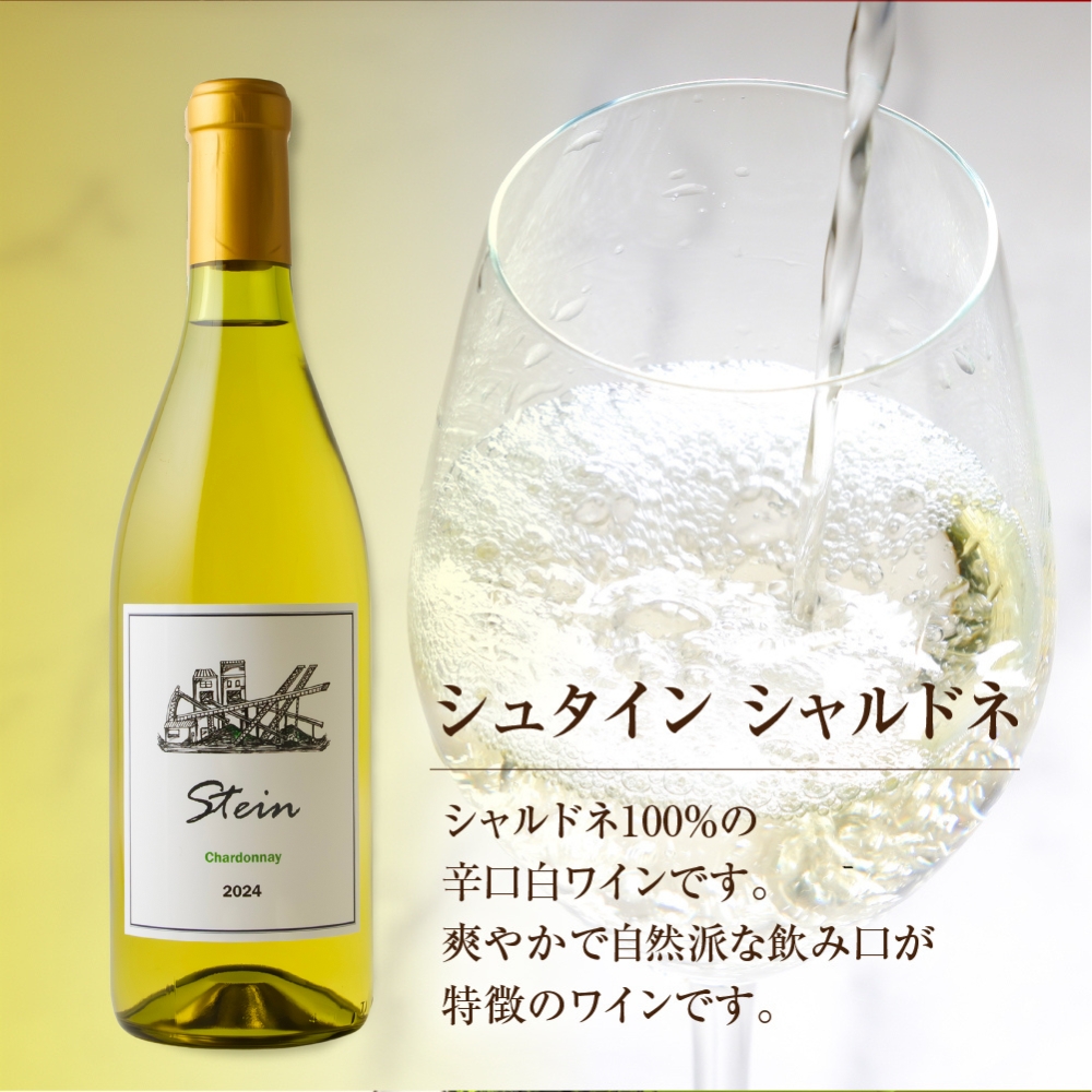 Stein シュタイン ワイン 3本セット 石巻産葡萄100％使用 赤ワイン 白ワイン 国産 赤 白 スパークリング