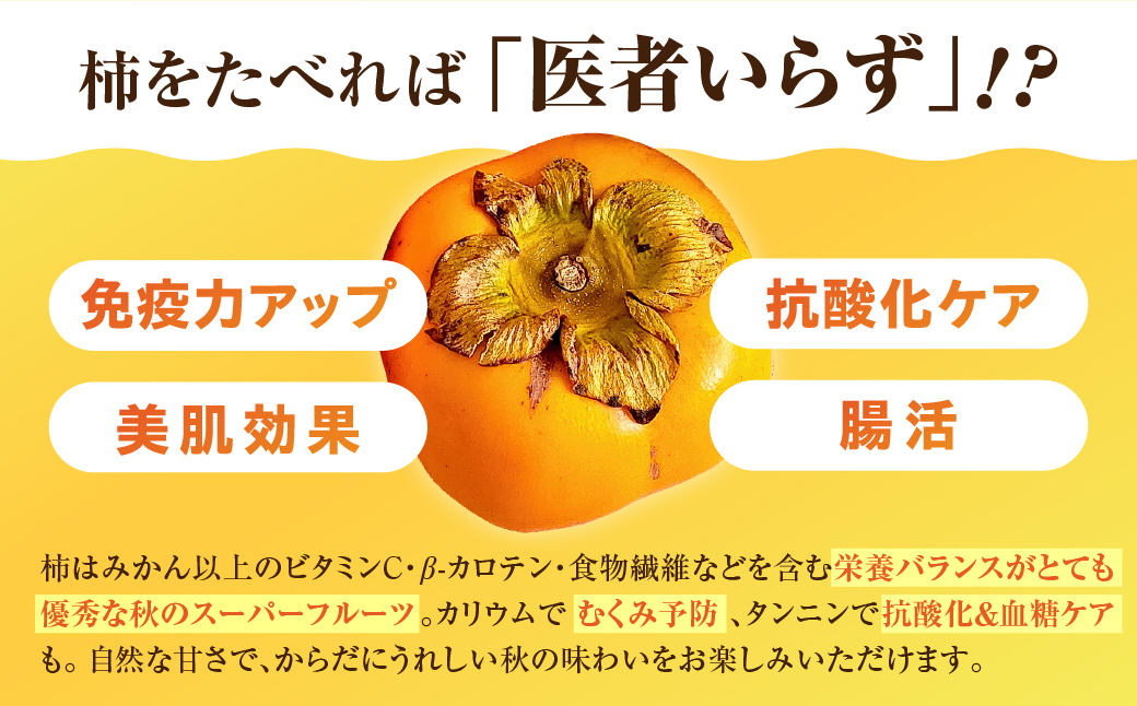 ≪来年分予約開始≫ 2026年産 生産量日本一 豊橋石巻産 次郎柿 ご自宅用 ≪3kg≫ 柿 訳あり 甘柿 果物 フルーツ 10月 11月 愛知県 豊橋市 ビタミンC 腸活 産地直送 農家直送 数量限定