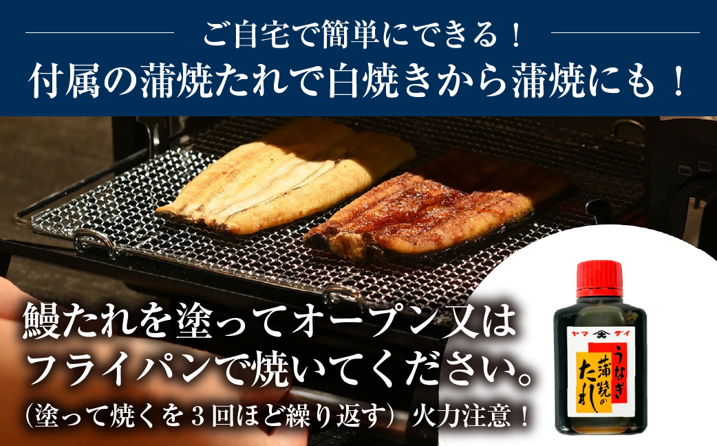 愛知県三河産　うなぎ　白焼き 3尾
