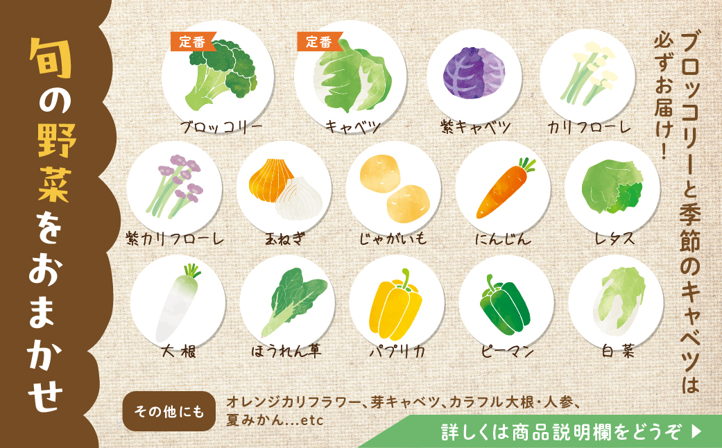 彩り野菜セット 3種 お試し1回お届け 豊橋 国産 ミネラルたっぷり 海風そだち 潮風 家族で 大容量 豊橋 ともちゃんのやさい 直売所で大人気！ 愛知県 豊橋市 安心野菜 ブロッコリー キャベツ