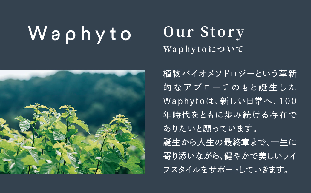 Waphyto ボディオイル エンハンス 100ml ワフィト