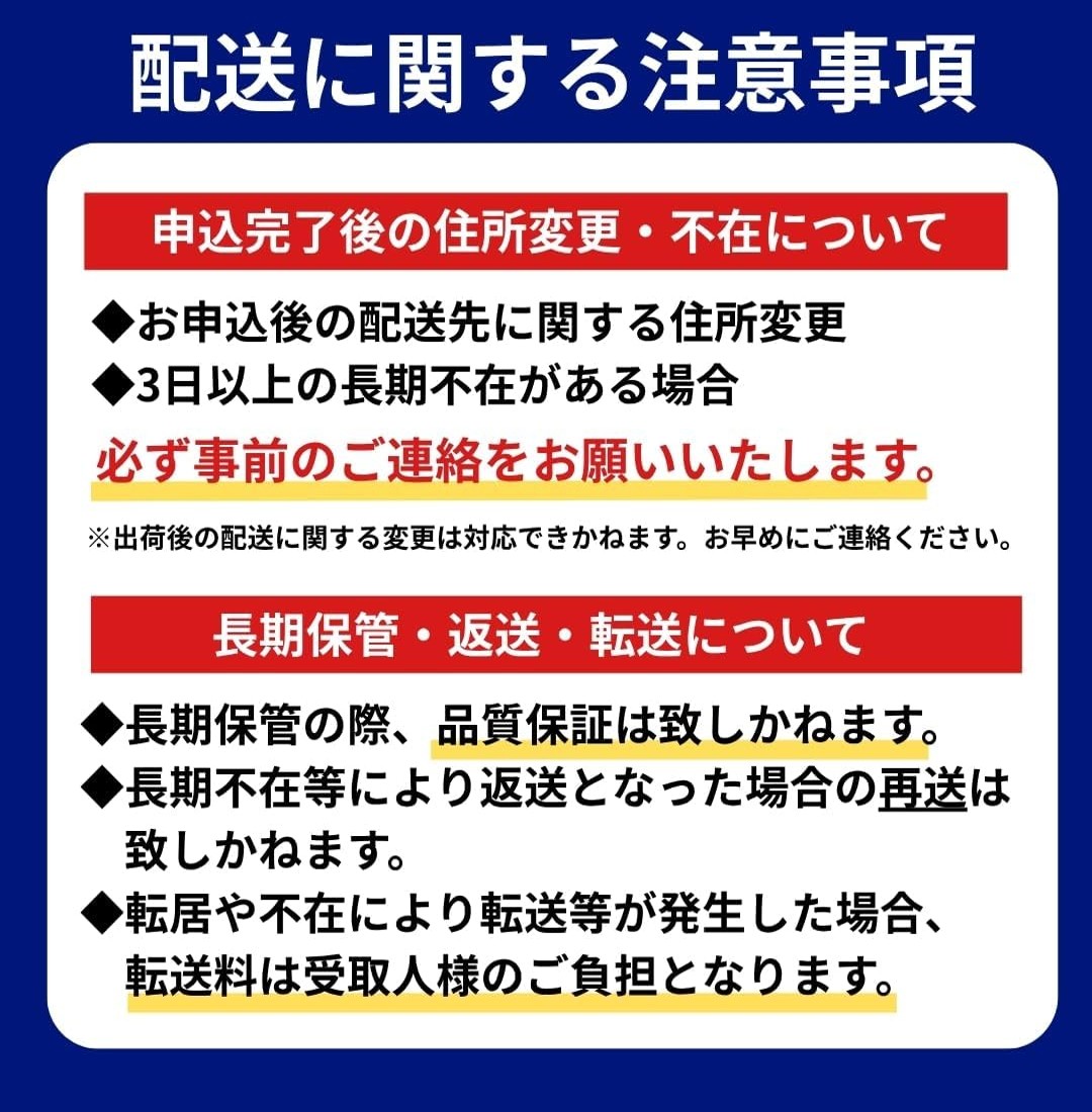 彩り野菜セット 3種 お試し1回お届け 豊橋 国産 ミネラルたっぷり 海風そだち 潮風 家族で 大容量 豊橋 ともちゃんのやさい 直売所で大人気！ 愛知県 豊橋市 安心野菜 ブロッコリー キャベツ