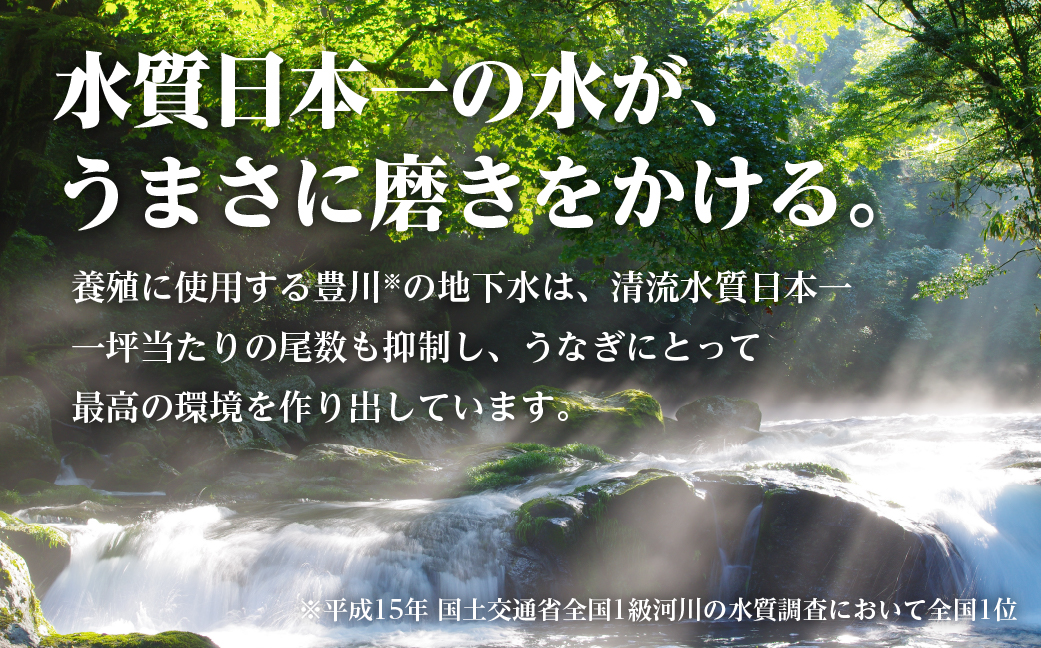 極上 豊橋うなぎ 長蒲焼と長白焼（特大2尾）+ 蒲焼きざみ（50g）x2 セット 夏目商店