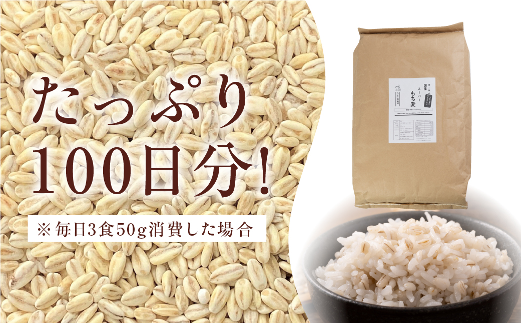豊橋産スーパーもち麦　毎日食べたいたっぷり５ｋｇ