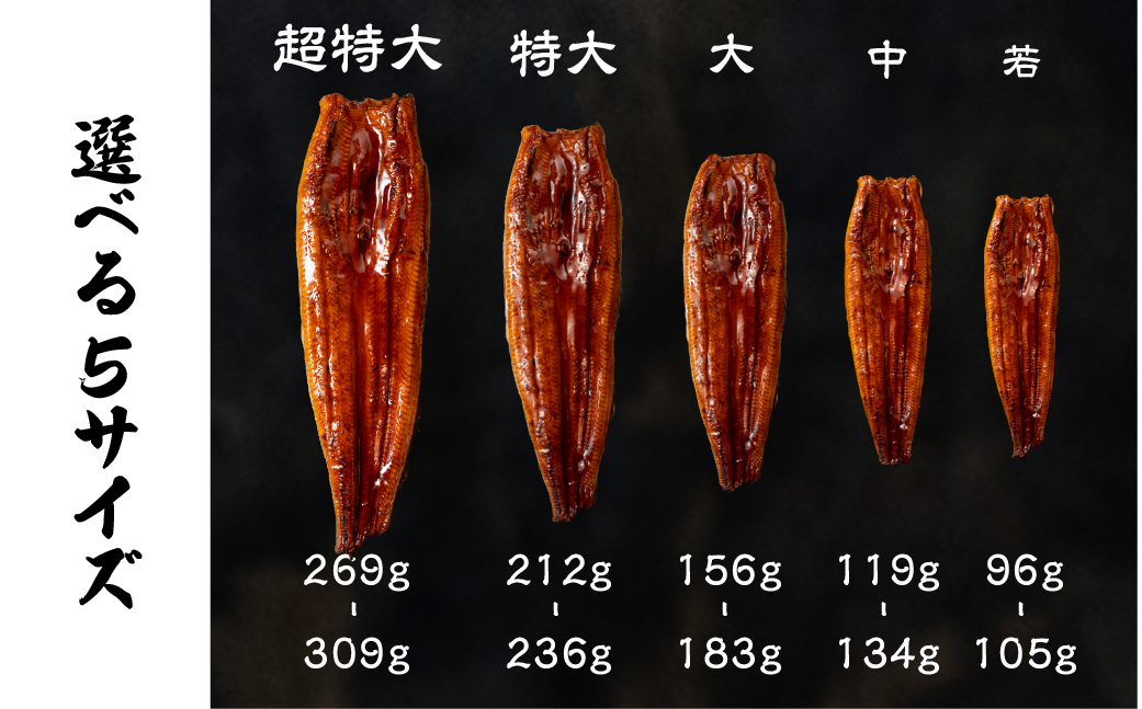 ふっくら肉厚！『国産うなぎ』　蒲焼　大 2尾