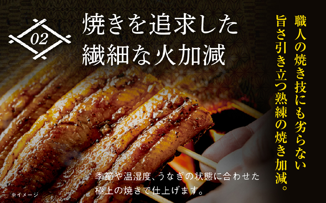 超絶うなぎ蒲焼 大2尾 定期便 12回