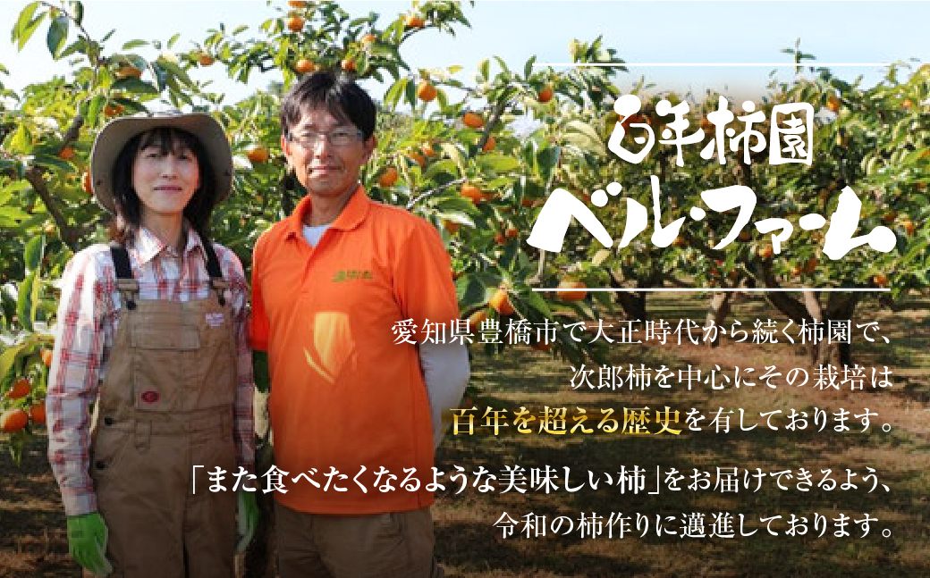 生産量日本一！皇室献上品『百年柿園　ベル・ファーム　次郎柿（ご自宅用不揃い）3kg』（12～16玉）