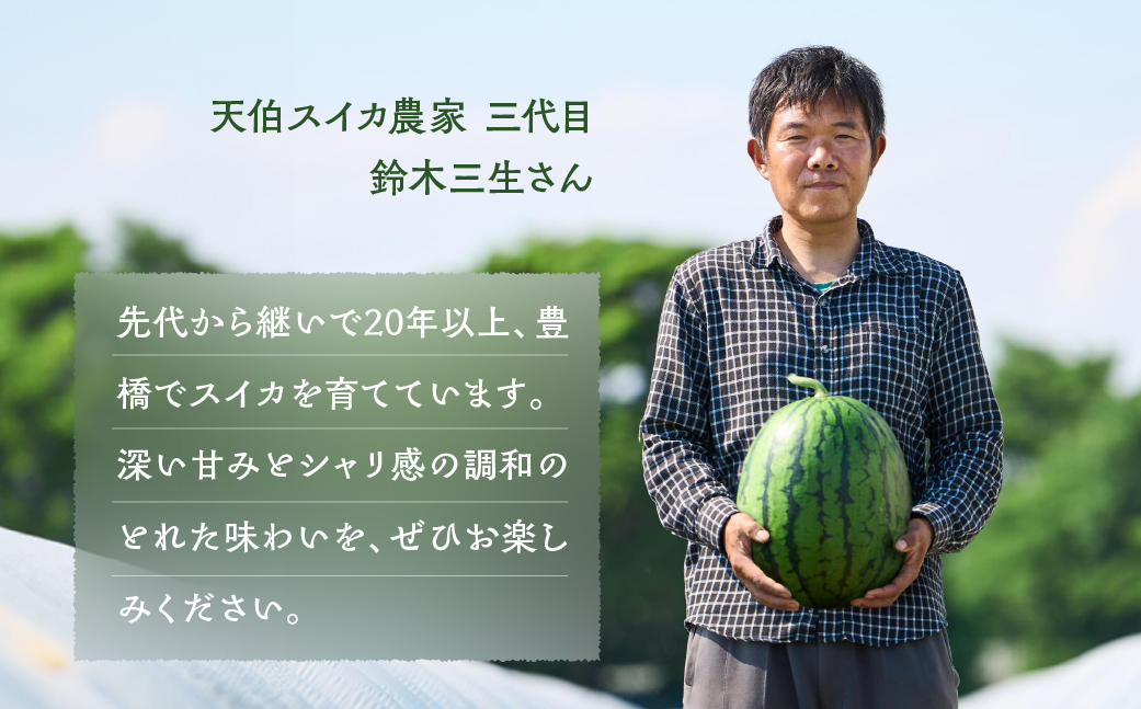 鈴木さんの 『天伯スイカ』 1玉 糖度11度以上 大玉 2L以上（7kg以上）