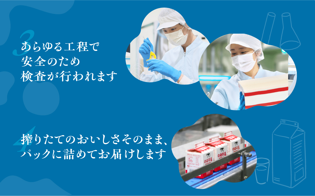 中央製乳 中央牛乳 1L 12本 計12L
