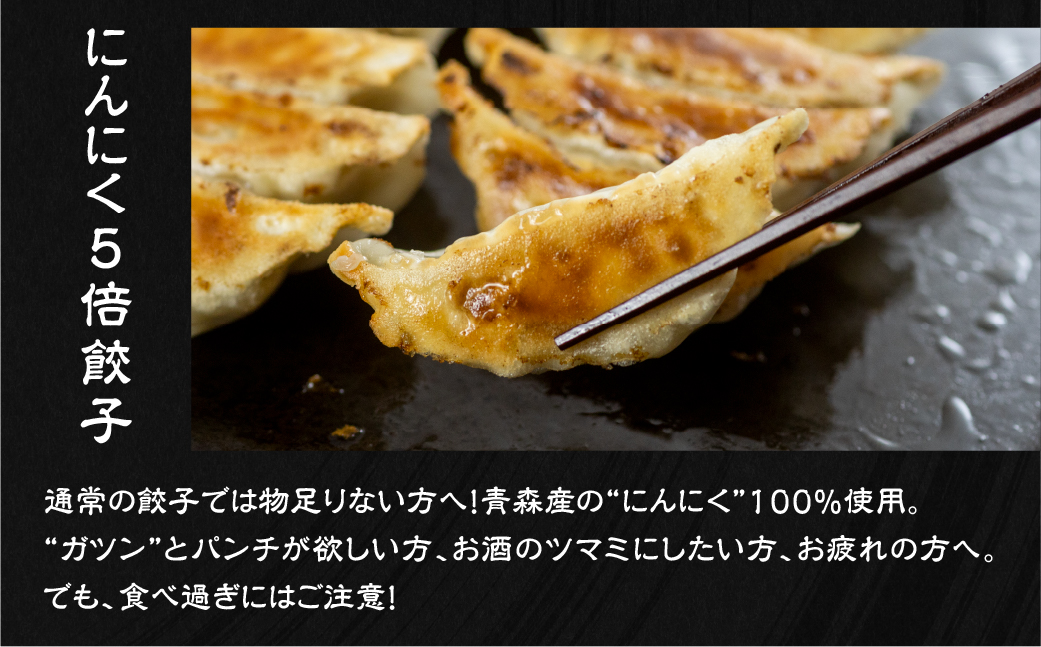 計100個！ 国産餃子 4種食べ比べセット