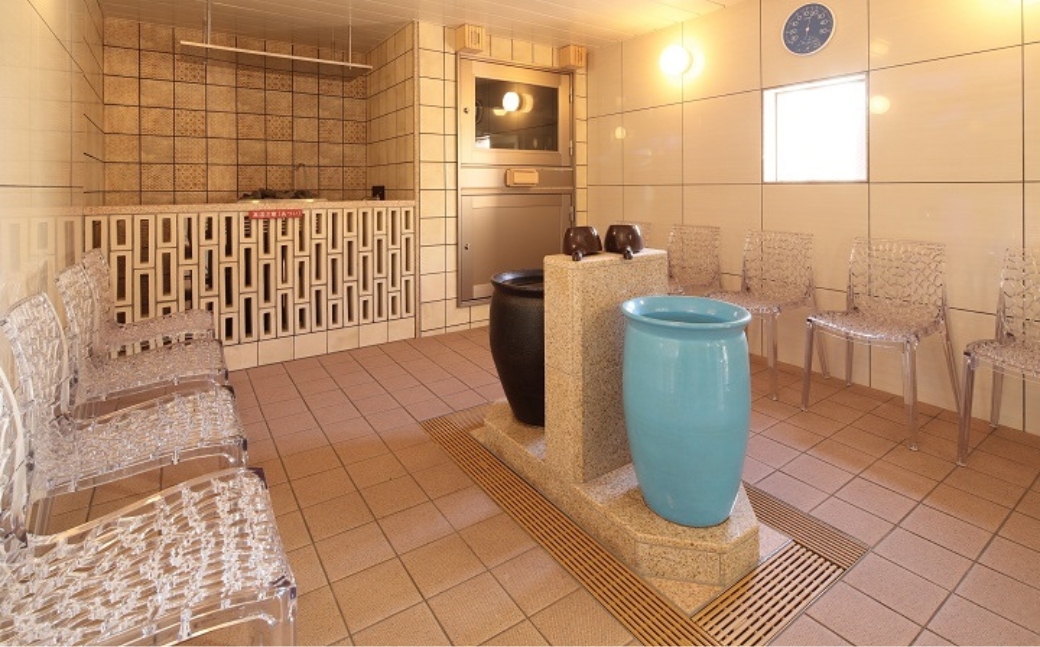 ゆのゆTOYOHASHI 入館券　10枚