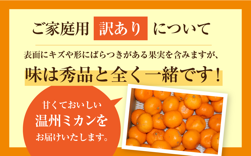 豊橋みかん 訳あり 3kg