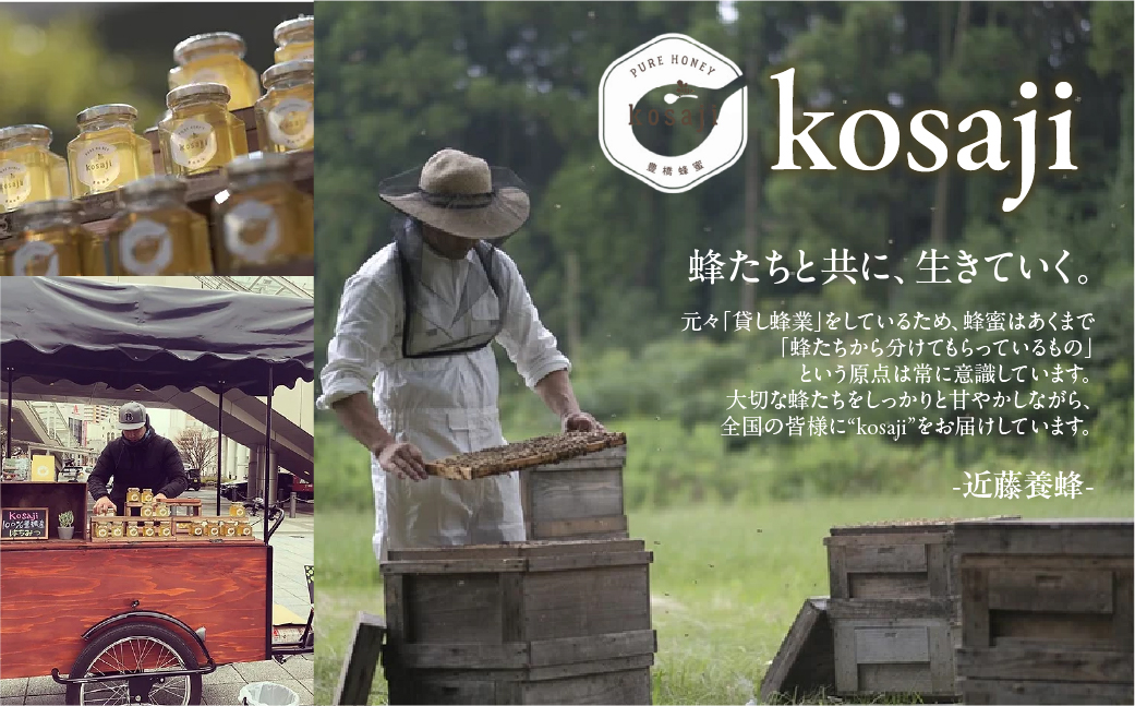 数量限定！【kosaji】春はちみつ300g ボトル入り