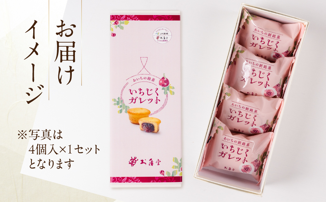 いちじくガレット 16個 お菓子 おかし いちじく ガレット 洋菓子 紅茶 コーヒー 相性抜群 高評価 お楽しみ 送料無料 豊橋市