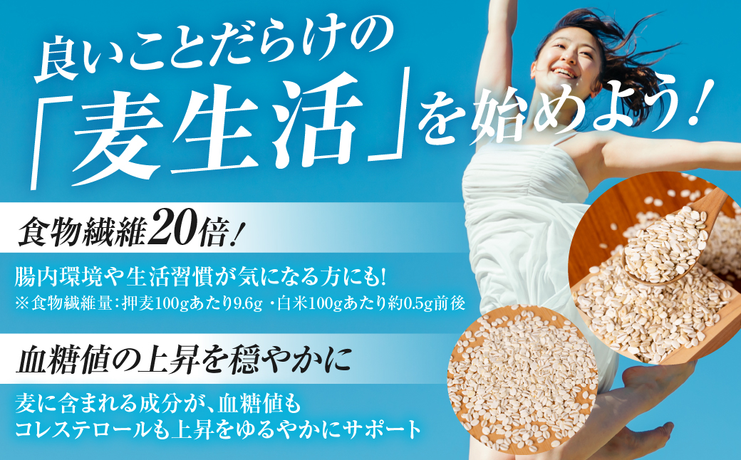 宝麦（特選押麦）15kg 麦 むぎ 大麦 押麦 国産 麦ごはん とろろごはん 麦飯 麦めし 米 麦味噌 麦みそ コメ不足に 食物繊維 健康 愛知県 豊橋市