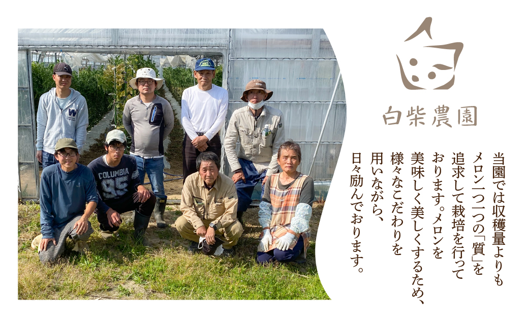 ≪先行予約 2026年発送≫ 温室マスクメロン 2玉【訳あり】めろん メロン マスクメロン 訳あり わけあり 果物 フルーツ デザート 旬 旬の果物 高糖度 糖度 1万円 10000円 愛知県 豊橋市