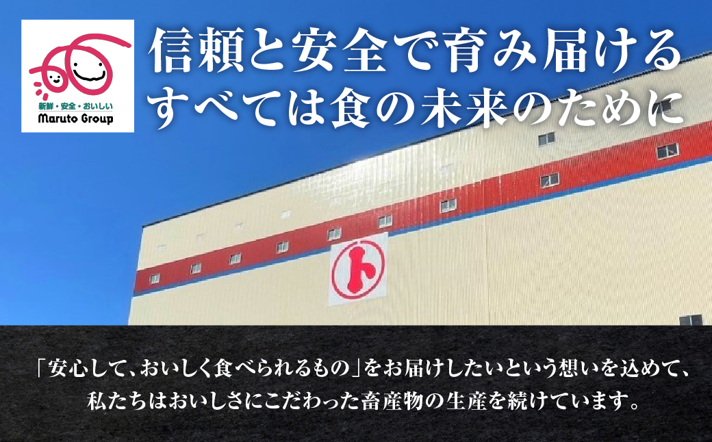 名古屋コーチン餃子 36個 (12個入×3パック) 冷凍餃子 こだわり餃子 おススメ 美味しい 餃子 ぎょうざ ギョウザ ギョーザ 惣菜 冷凍 名古屋コーチン 地鶏 ブランド地鶏 冷凍食品 セット 国産 国産素材 詰め合わせ 愛知県 豊橋市