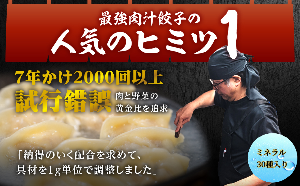 とよはし お試しサイズ『最強肉汁餃子』10個入り 簡易包装