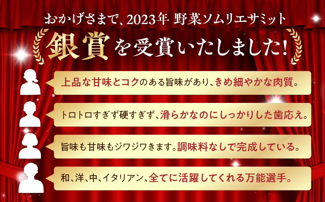 ≪先行予約≫とげなし茄子20本 ナス 茄子 なす なすび 野菜 旬 旬の野菜 糖度 石田茄子 トゲなし　とげなし お取り寄せ 健康 夕飯 おかず 愛知県 豊橋市