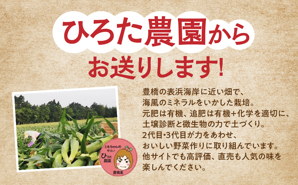 ≪先行予約≫ 令和8年産（2026年収穫）黄色とうもろこし 14本 直売所で大人気！ 愛知県 豊橋市 夏野菜 野菜 ミネラルたっぷり 海風そだち 潮風 BBQ 家族で 大容量 豊橋 ともちゃんのやさい