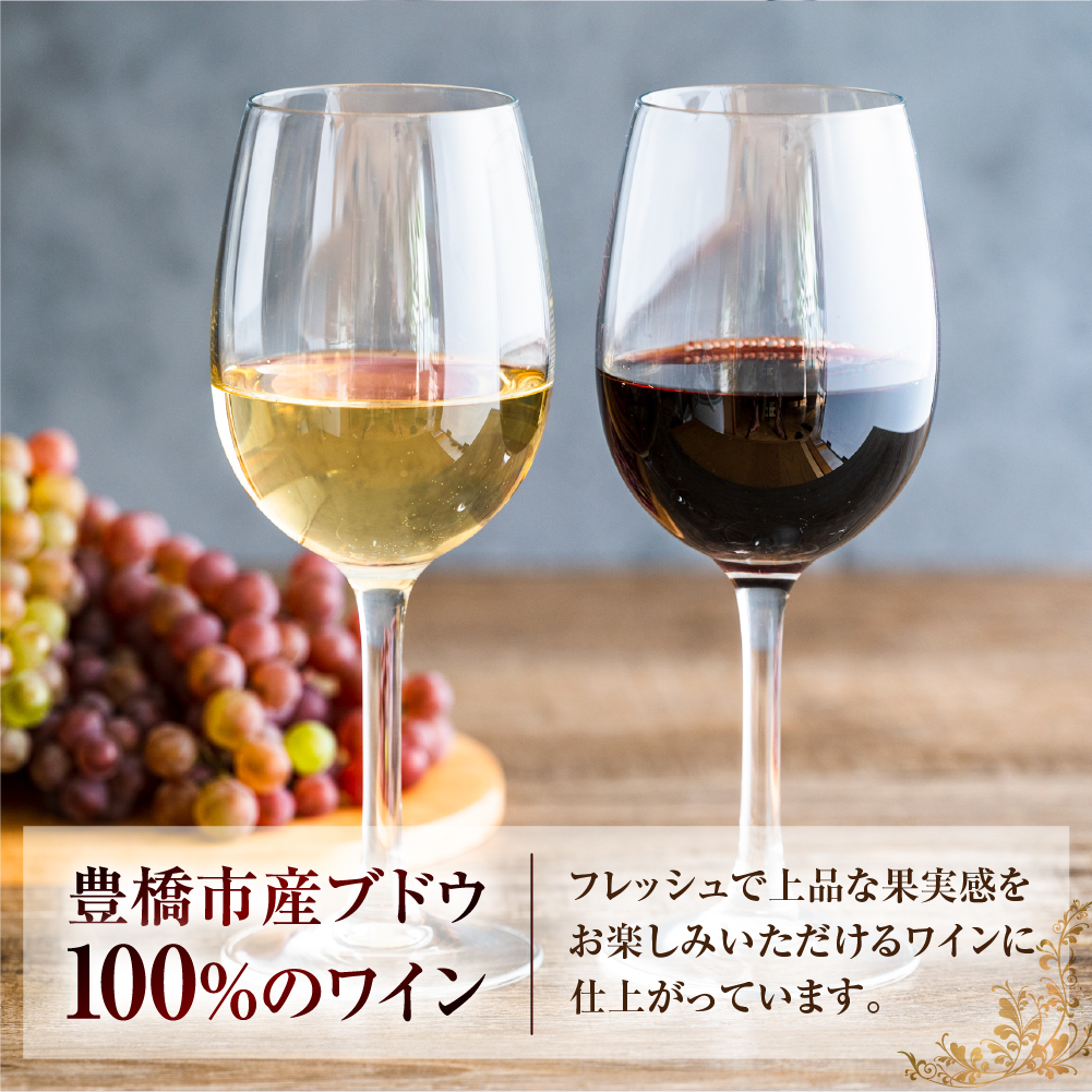 Stein シュタイン ワイン 3本セット 石巻産葡萄100％使用 赤ワイン 白ワイン 国産 赤 白 スパークリング