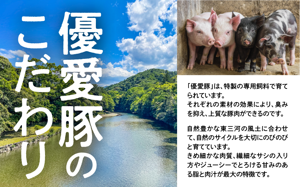 特選！贅沢お肉定期便 3回 肉 牛肉 豚肉 鶏肉 ブランド牛 ブランド豚 地鶏 名古屋コーチン 切り落とし 黒毛和牛 和牛 定期便 3ヶ月 毎月お届け どうまい 愛知県 豊橋市 送料無料