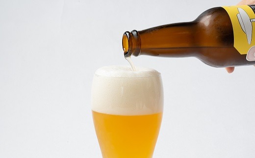 ジャパン・グレートビア・アワーズ2021金賞＆銀賞受賞！　豊橋が育てたクラフトビール２種６本セット（女神のほほえみ・大人の初恋レモン）