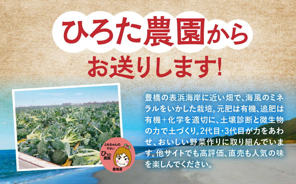 ≪先行予約≫ブロッコリー 5本 豊橋 国産 ミネラルたっぷり 海風そだち 潮風 家族で 大容量 豊橋 ともちゃんのやさい 直売所で大人気！ 愛知県 豊橋市 安心野菜