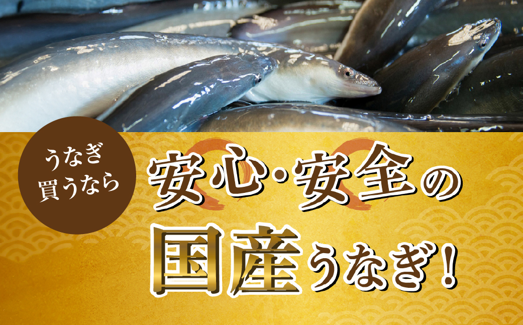 国産 ぶっかけうなぎ 10枚（800g）