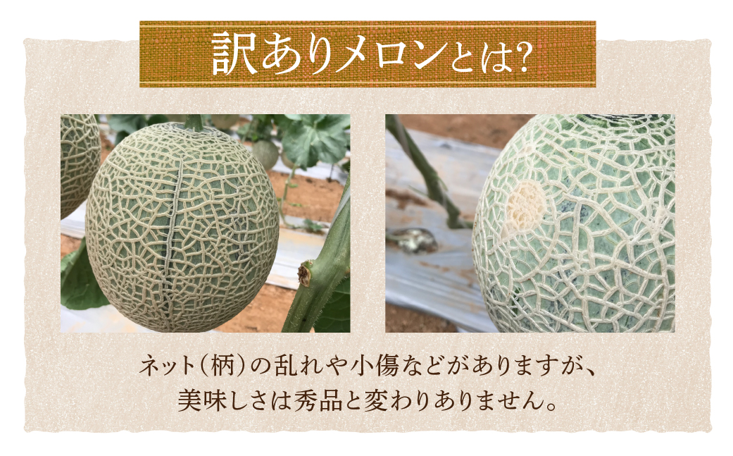【海鮮コース】穂の国の恵み どうまい 定期便 全12回 Bコース 海鮮 ( 餃子 むき えび うなぎ おでん 鴨鍋 かも鍋 鮎 うなぎ メヒカリ ふぐ フグ メロン ジェラート フローズンヨーグルト ) ご当地 人気 名産品 頒布会 豊橋