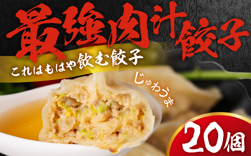 とよはし『最強肉汁餃子』