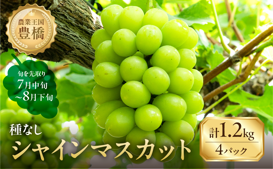 シャインマスカットページ sshine_kyohou_2.jpg?v=