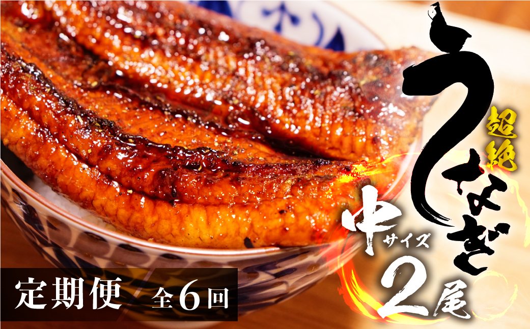 超絶うなぎ蒲焼 中2尾 定期便 6回