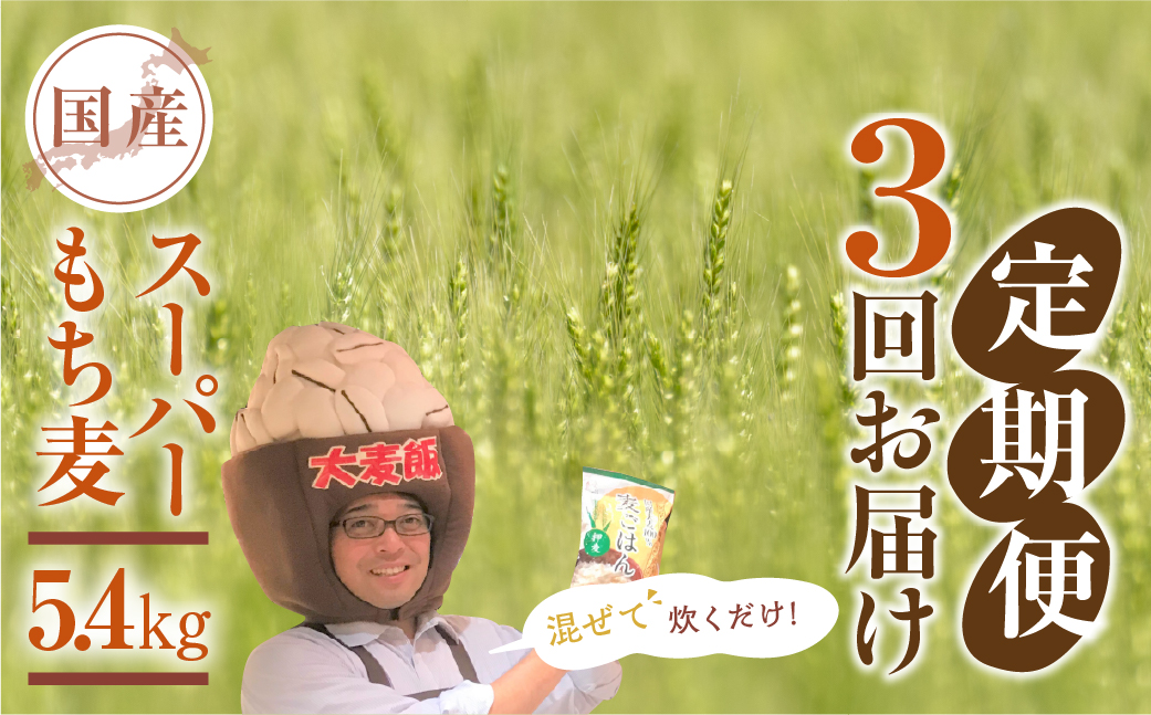 豊橋産スーパーもち麦　定期便 3回（1.8kg×3）