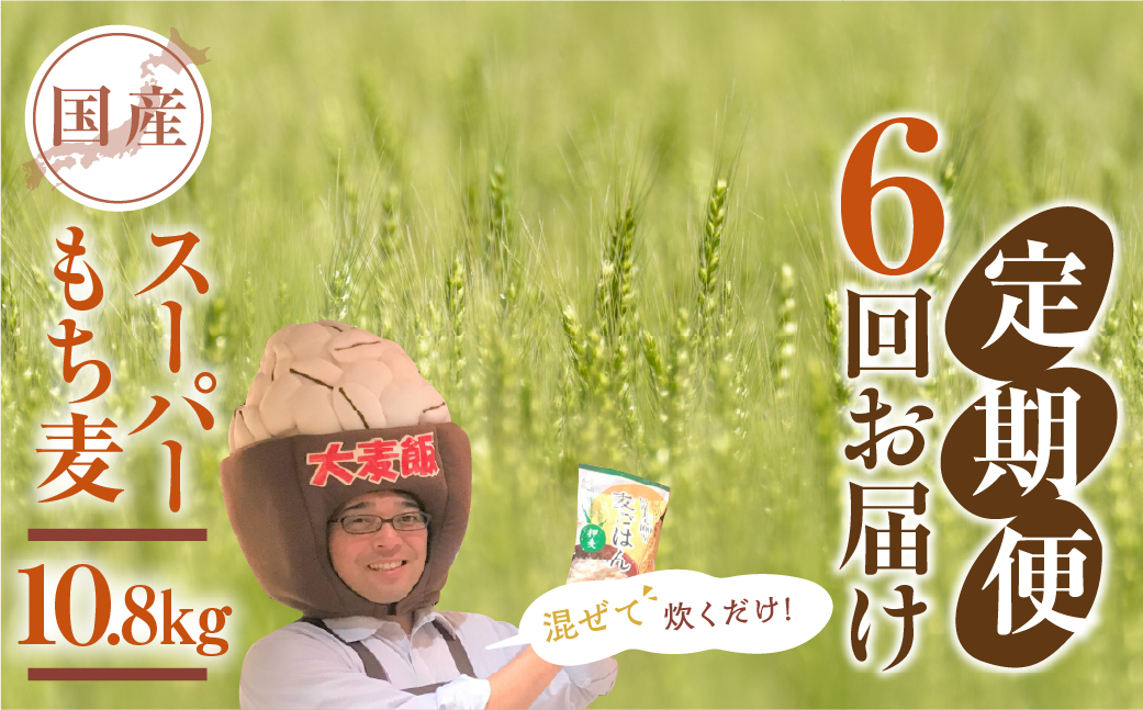 豊橋産スーパーもち麦　定期便 6回（1.8kg×6）